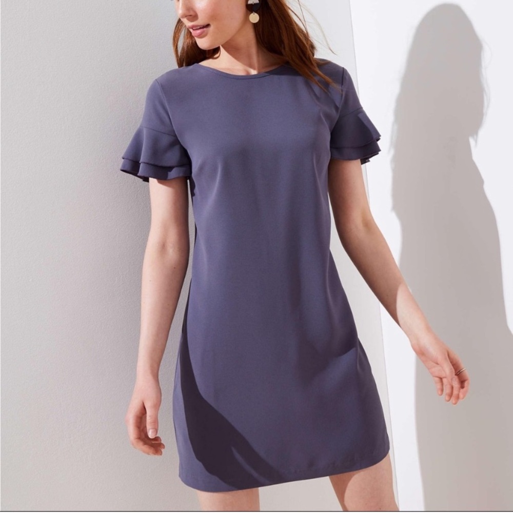 LOFT Shift Dress with Ruffle Sleeve